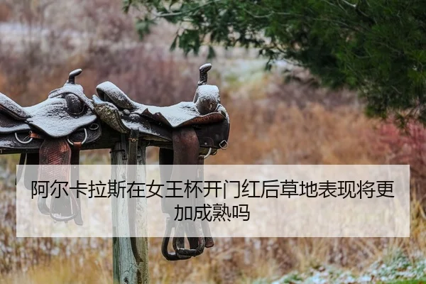a-er-ka-la-si-zai-nv-wang-bei-kai-men-hong-hou-cao-di-biao-xian-jiang-geng-jia-cheng-shu-ma-2-926.jpg