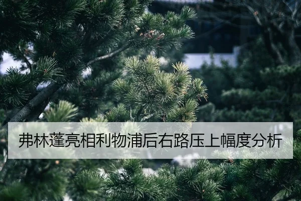fu-lin-peng-liang-xiang-li-wu-pu-hou-you-lu-ya-shang-fu-du-fen-xi-2-310.jpg