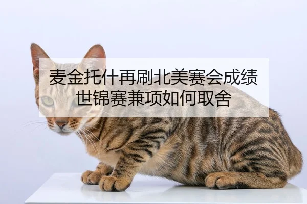 mai-jin-tuo-shen-zai-shua-bei-mei-sai-hui-cheng-ji-shi-jin-sai-jian-xiang-ru-he-qu-she-2-588.jpg