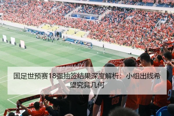 国足世预赛18强抽签结果深度解析：小组出线希望究竟几何